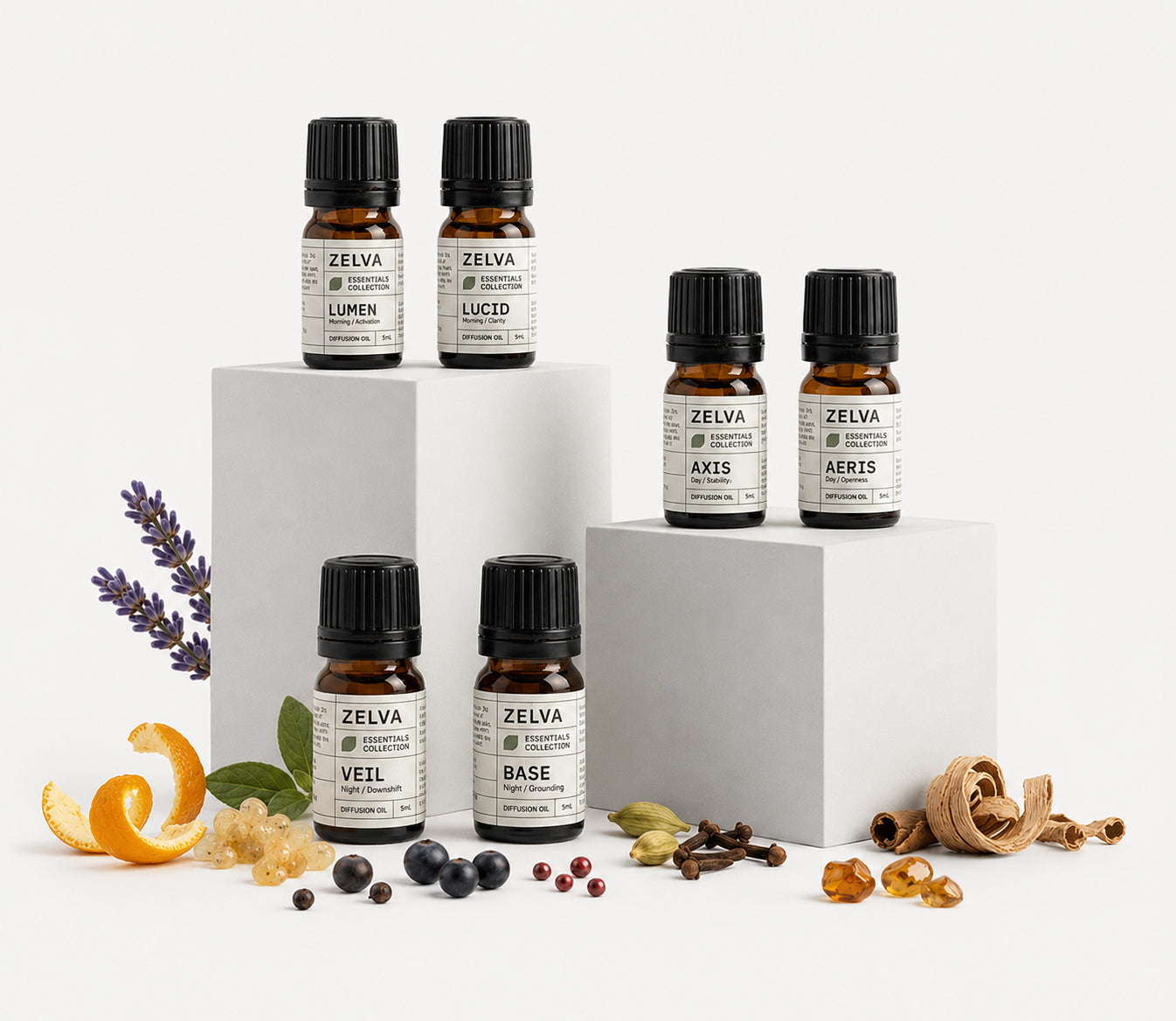 Discovery Set - Essentials Collection