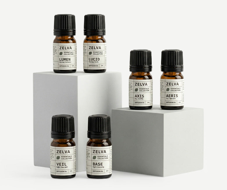 Discovery Set - Essentials Collection