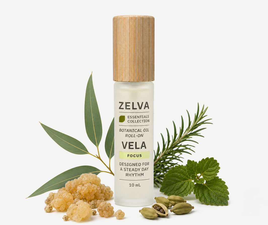VELA - Day / Focus