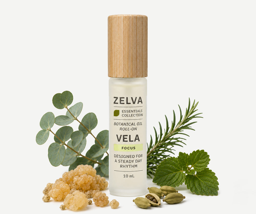 VELA - Day / Focus